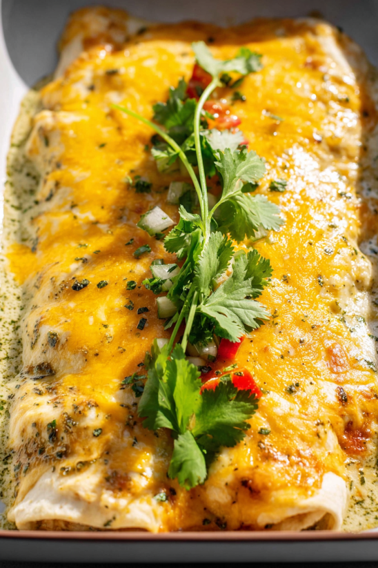 A plate of sour cream chicken enchiladas.