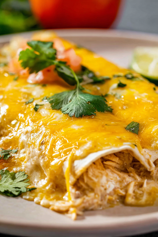 A plate of Sour Cream Chicken Enchiladas.