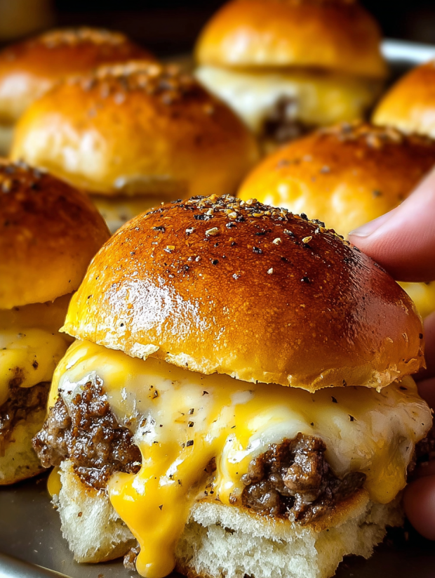 A person is holding a garlic parmesan burger bomb.